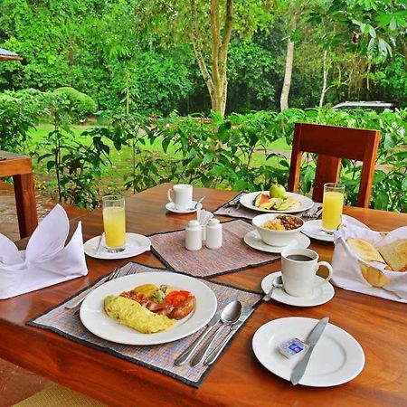Primate Lodge Kibale Kampala Exteriér fotografie